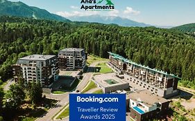 Silver Mountain - Ana'S Apartments
